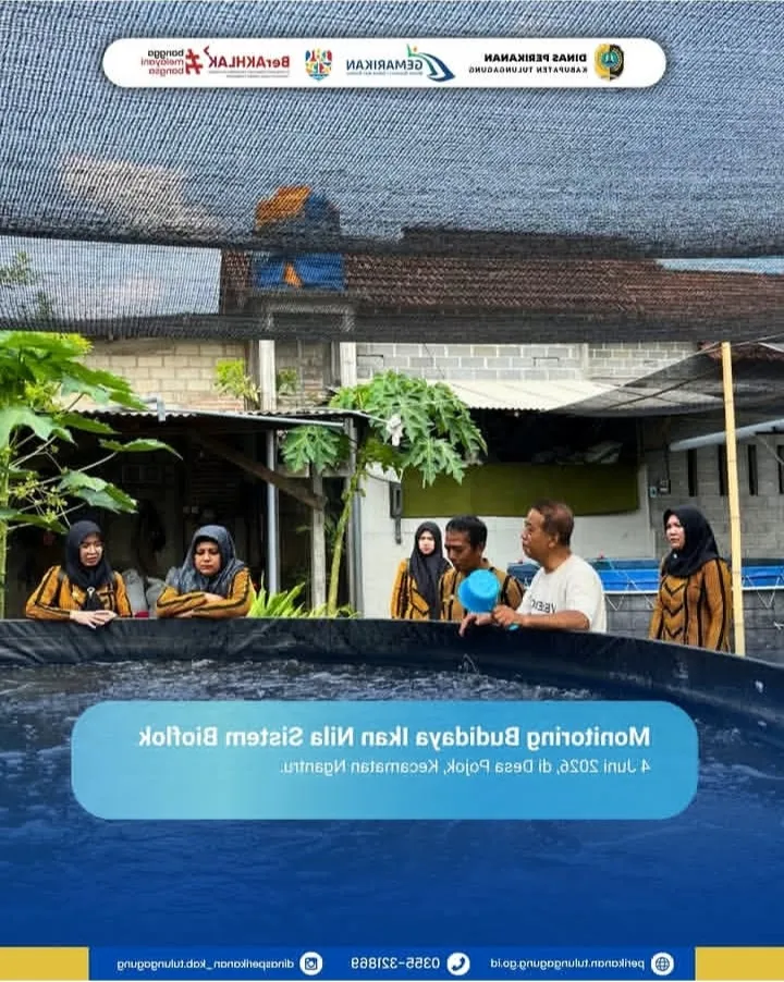 Optimalkan Produksi Nila, Dinas Perikanan Tulungagung Monitoring Budidaya Sistem Bioflok di Ngantru