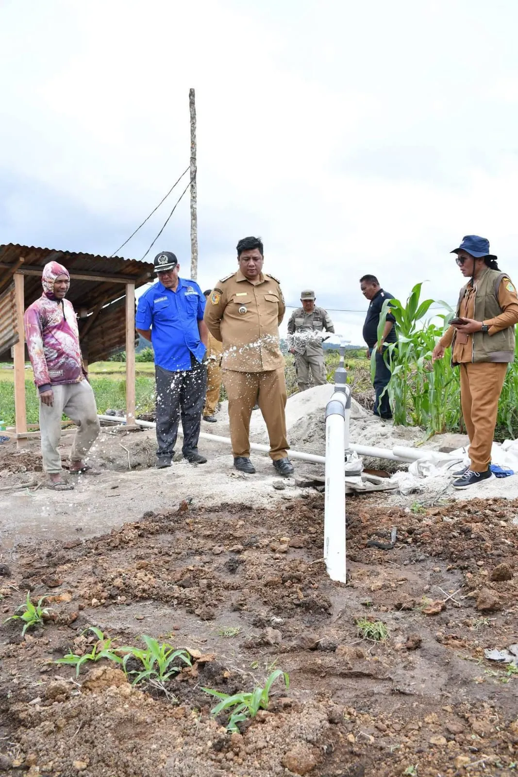 Wujud Sinergitas, Bupati Samosir Tinjau Progres Pembangun Pompa Air Dan Jaringan Listrik Dibangun di Kawasan Pertanian Terpadu