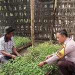 Bhabinkamtibmas Polsek Menggala Gerak Cepat, Sambang Petani Dorong Warga Manfaatkan Lahan Pekarangan Demj Ketahanan Pangan Kab.Tupang Bawang
