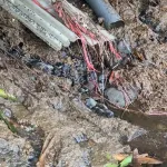 Investigasi: Dugaan Pembuangan Limbah Cair Peternakan Ayam ke Sungai di Lumajang Terungkap, Pengakuan Pemilik Jadi Sorotan