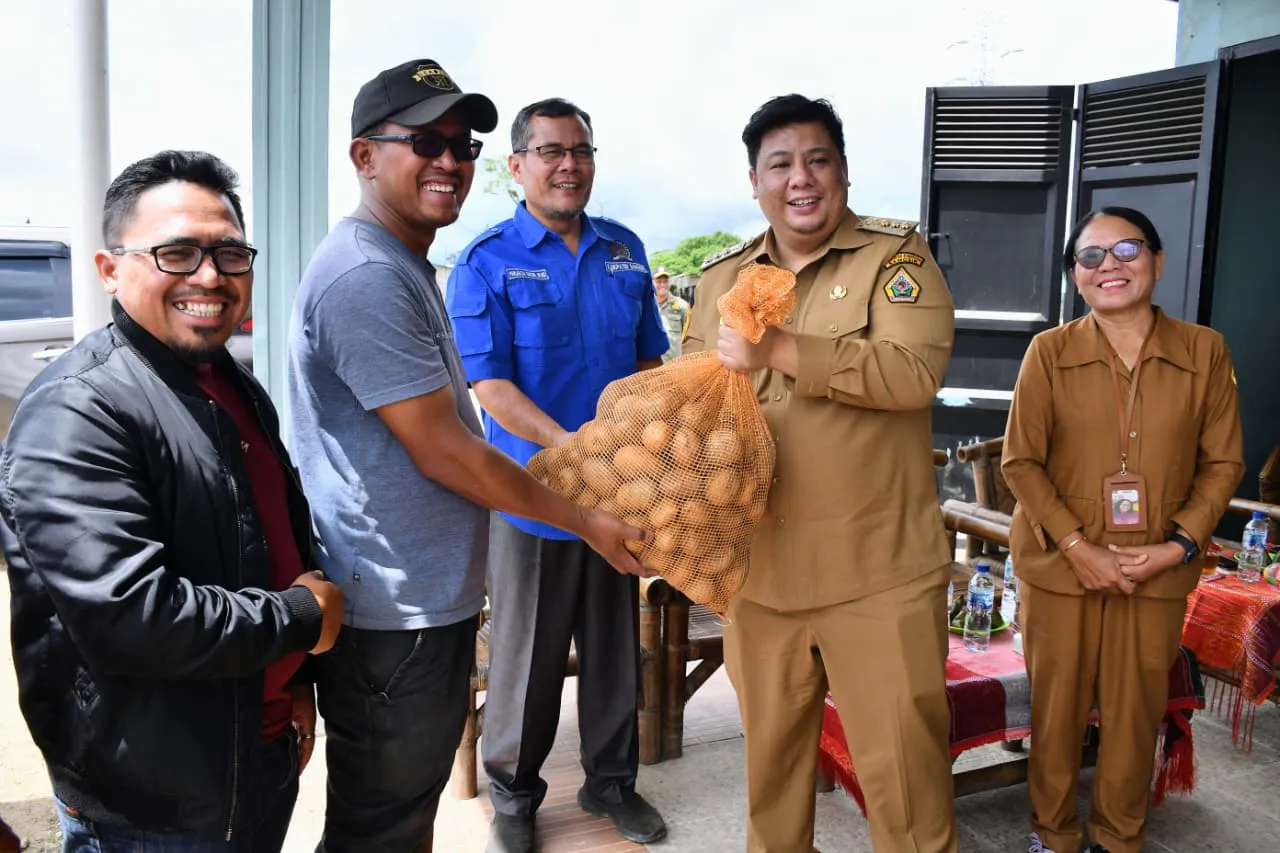 Program Kolaborasi Sumut Berkah, Bupati Samosir Vandiko Gultom Bagikan  5 Ton Bibit Kentang di Desa Hariara Pintu