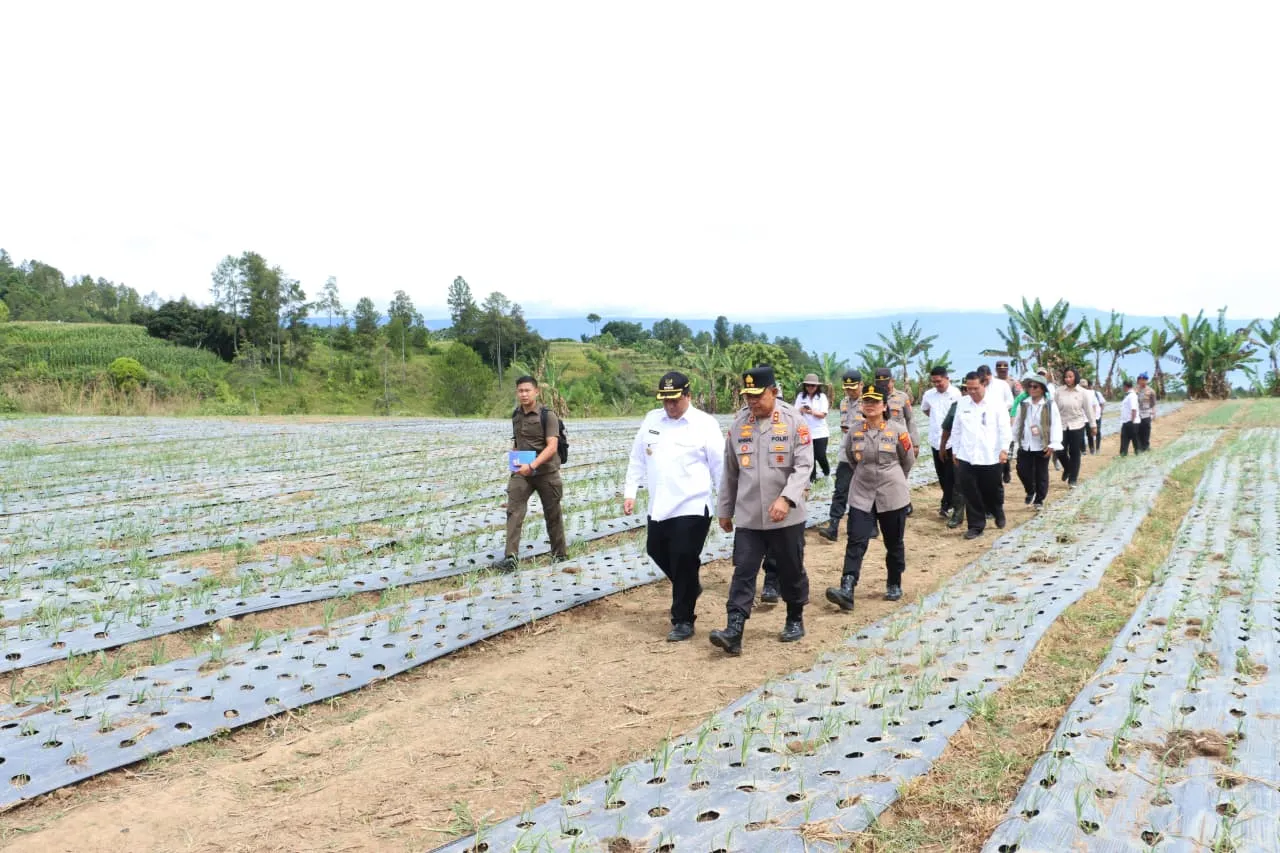 Wujudkan Swasembada Pangan Nasional, Bupati Samosir Bersama Kapolda Sumut Tinjau Lokasi Penanaman Bawang Putih