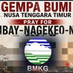 Gempa Magnitudo 7,0 Guncang Mbay-Nagekeo NTT, BMKG Keluarkan Peringatan Dini Tsunami