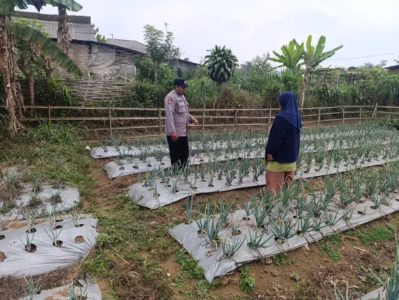 Polri Dampingi Program Pekarangan Pangan Bergizi di Desa Pungging