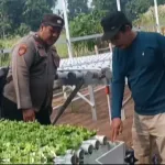 Polsek Rembang Pantau Lahan P2B di Desa Pekoren Dukung Ketahanan Pangan