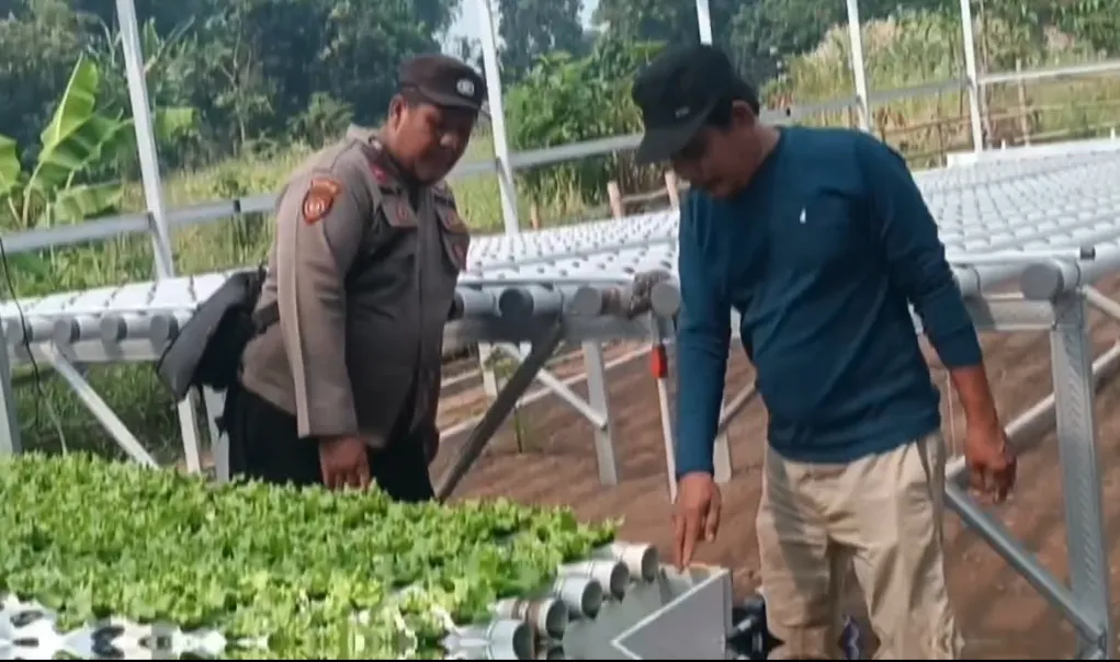 Polsek Rembang Pantau Lahan P2B di Desa Pekoren Dukung Ketahanan Pangan
