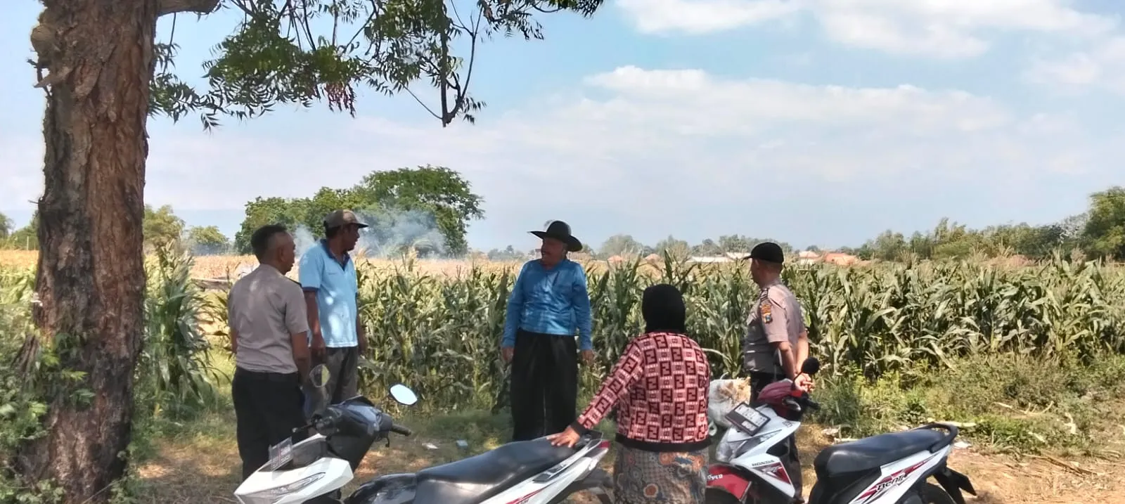 Polsek Sumberasih Aktif Pantau Lahan Jagung Binaan