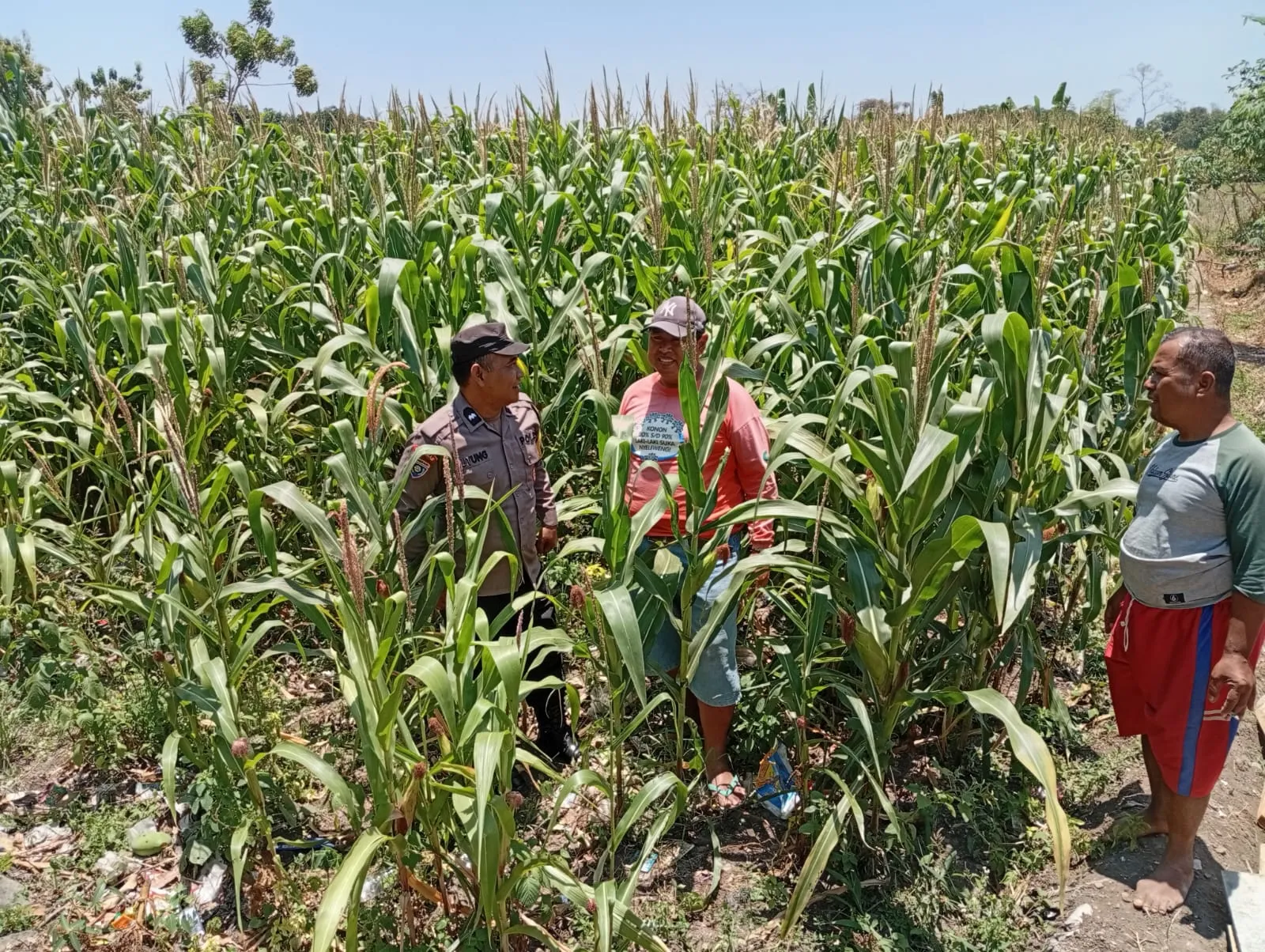Polsek Sukorejo Dampingi Kelompok Tani Manfaatkan Lahan Produktif untuk Ketahanan Pangan