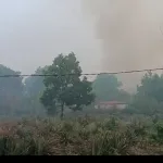 Api Kembali Muncul Di Gang Keluarga Parit Tanggok Pemadam Formaslidam Siaga