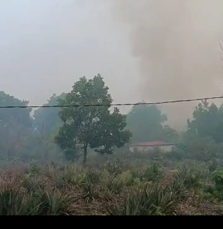 Api Kembali Muncul Di Gang Keluarga Parit Tanggok Pemadam Formaslidam Siaga