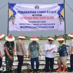 Sukseskan Ketahanan Pangan Nasional, Gapoktan Sido Makmur Desa Slemanan Tanam Cabai Rawit Bersama Bupati Blitar