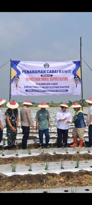 Sukseskan Ketahanan Pangan Nasional, Gapoktan Sido Makmur Desa Slemanan Tanam Cabai Rawit Bersama Bupati Blitar