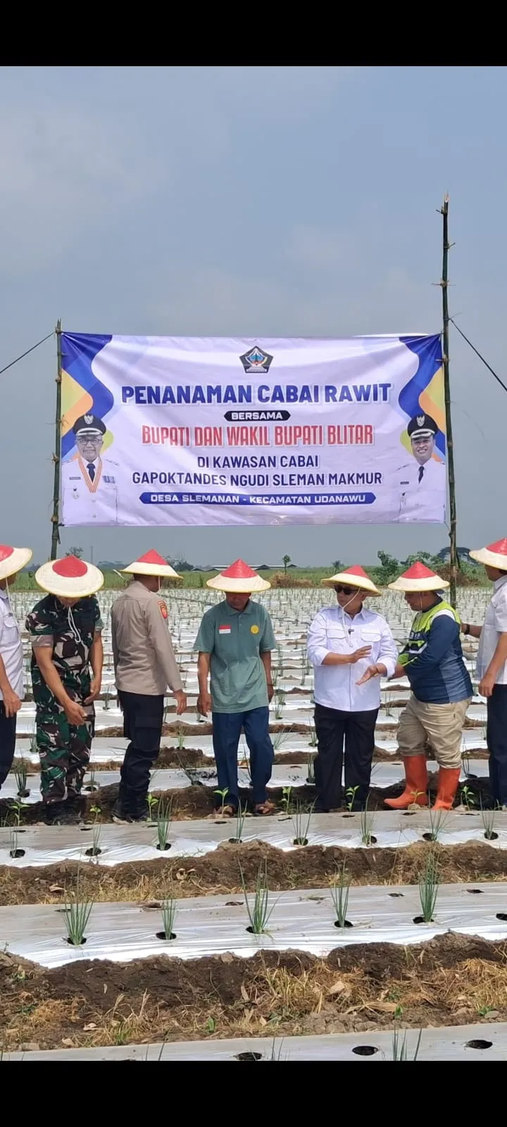 Sukseskan Ketahanan Pangan Nasional, Gapoktan Sido Makmur Desa Slemanan Tanam Cabai Rawit Bersama Bupati Blitar