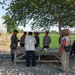GMBI Buktikan Komitmen Ketahanan Pangan di Punduttrate, Pendalaman Waduk Buka Jalan Masa Tanam Ketiga 15 Hektare