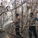 Polsek Marau Gerak Cepat Groundcheck Lima Titik Hotspot Karhutla, Medan Berat Tak Halangi Upaya Pencegahan*
