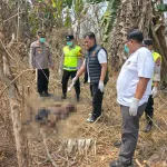 Lansia di Pekalongan Hilang 3 Hari, Ditemukan Meninggal di Kebun