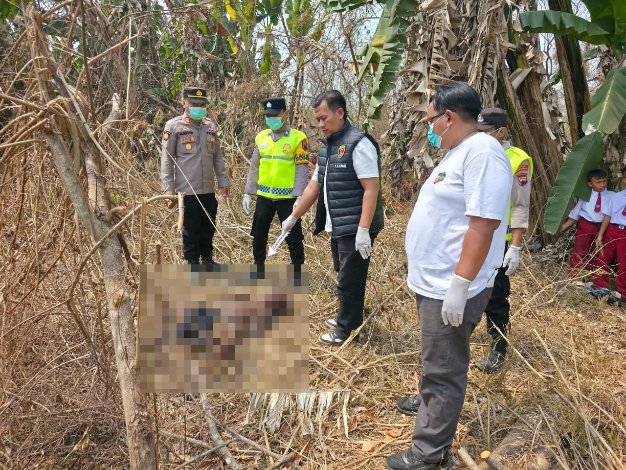 Lansia di Pekalongan Hilang 3 Hari, Ditemukan Meninggal di Kebun