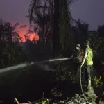 Polsek Tumbang Titi Bersama TNI dan Warga Padamkan Karhutla di Desa Batu Tajam
