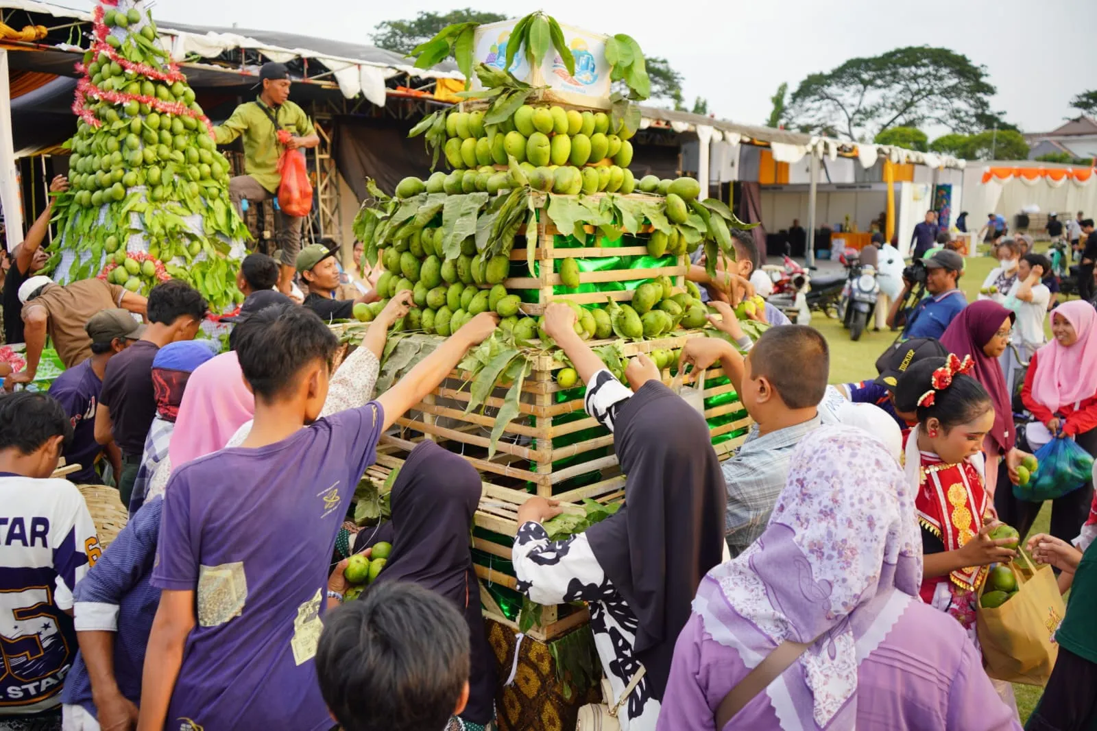 Melalui Mango Carnival of Indonesia 2026, Tunjukkan Keunggulan Buah Ikonik Negeri Pada Dunia